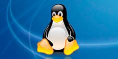 Insigne Linux TAXA UNICA